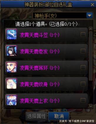 dnf史有毒私服
